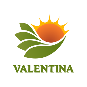 Logo Valentina sin fondo